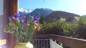 Balcon sous le Canigou T1 40m2 cuisine séparée